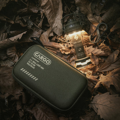 CARGO 工業風LED燈 Dual Light Mini 300流明