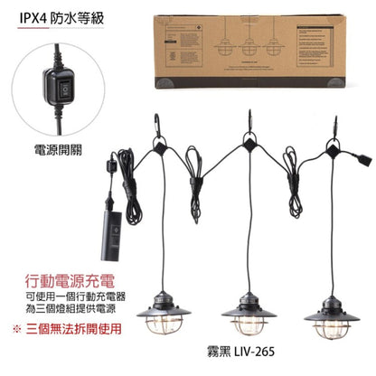 Barebones Edison String Lights 串連垂吊營燈 霧黑 LIV-265